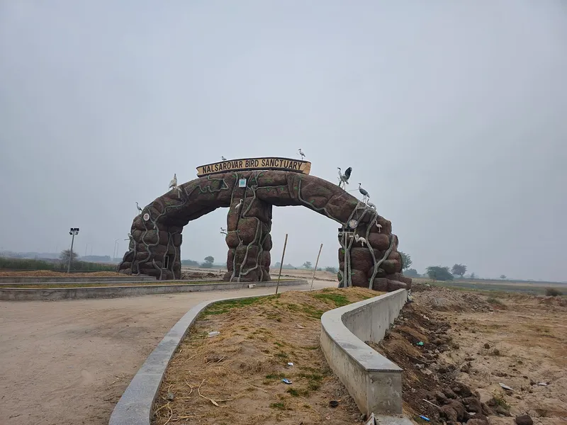 Nal Sarovar Bird Sanctuary, Ahmedabad