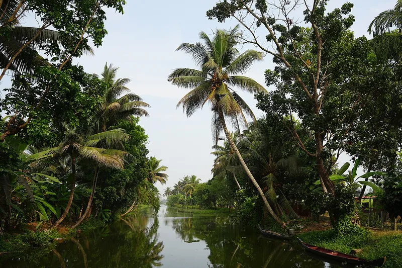 Alappuzha backwaters, Alappuzha