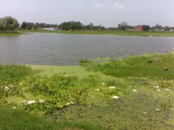 Mijhaura Ponds, Ambedkar Nagar district, Ambedkar Nagar