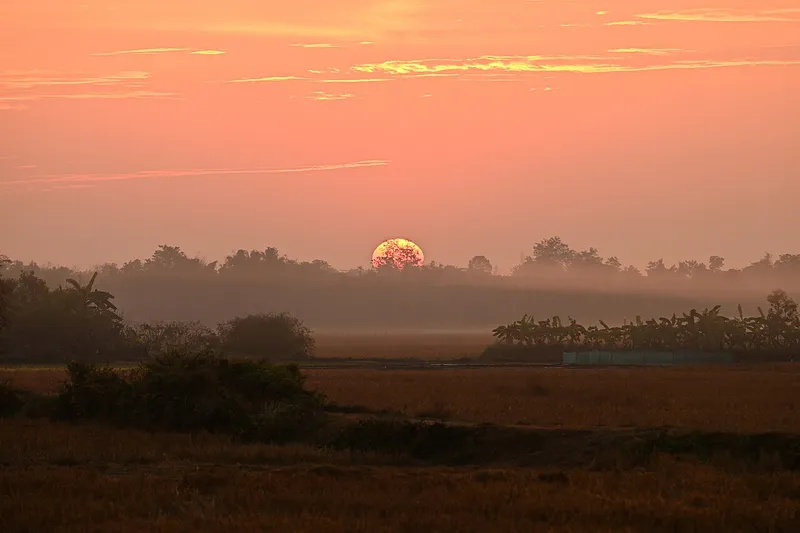 Kokilabari Reserve Forest, Baksa