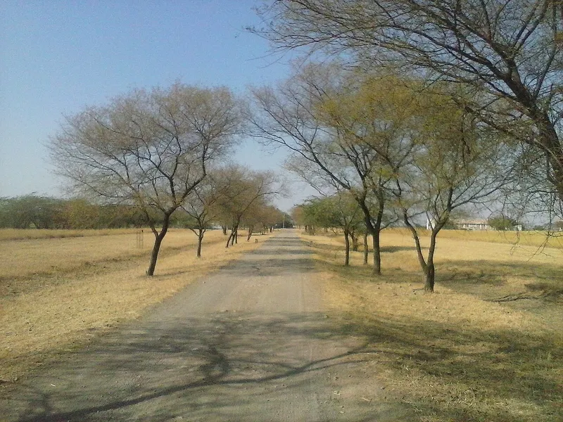 Blackbuck National Park, Bhavnagar