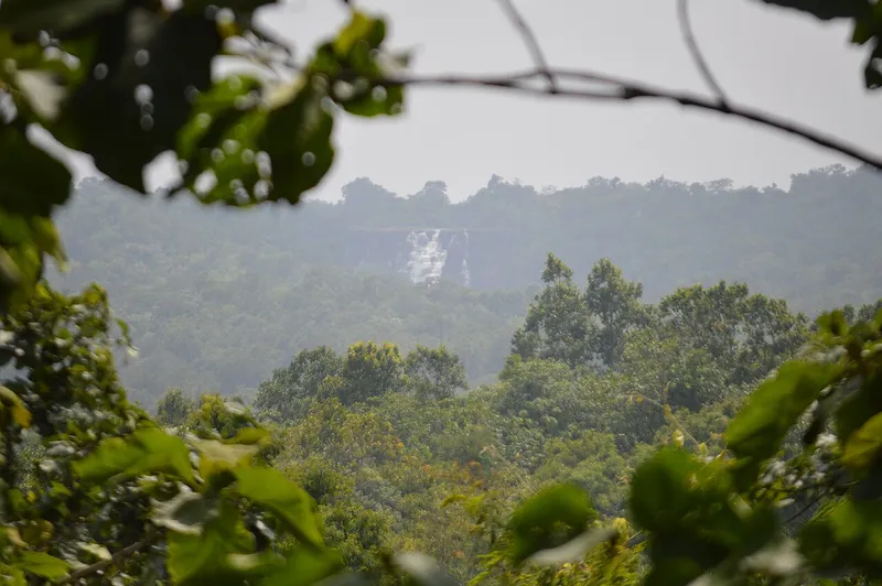 Kanger Valley National Park, Bijapur