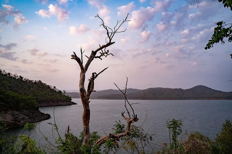 Bhadra Reservoir, Chikkamagaluru
