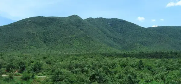 Kaigal Waterfalls, Chittoor