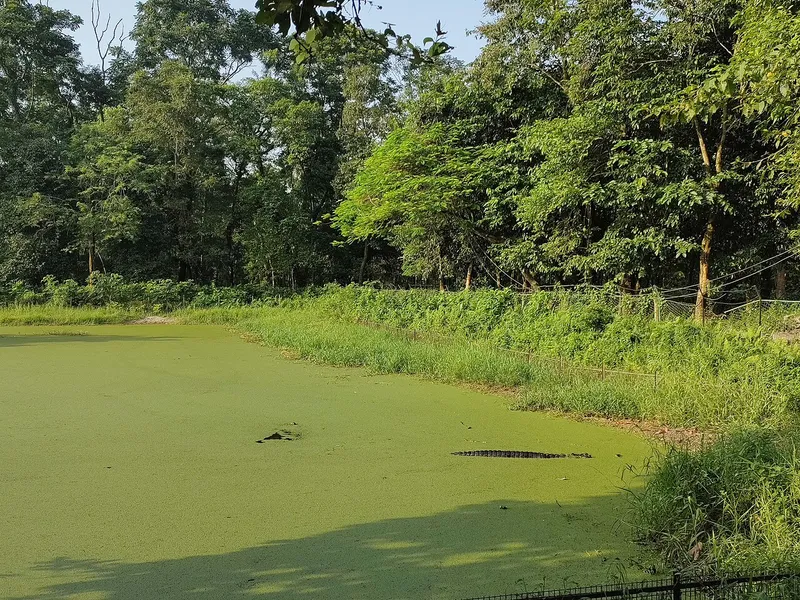 Rasikbil, Cooch Behar