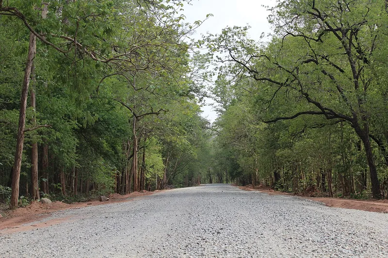 Sitanadi Wildlife Sanctuary, Dhamtari