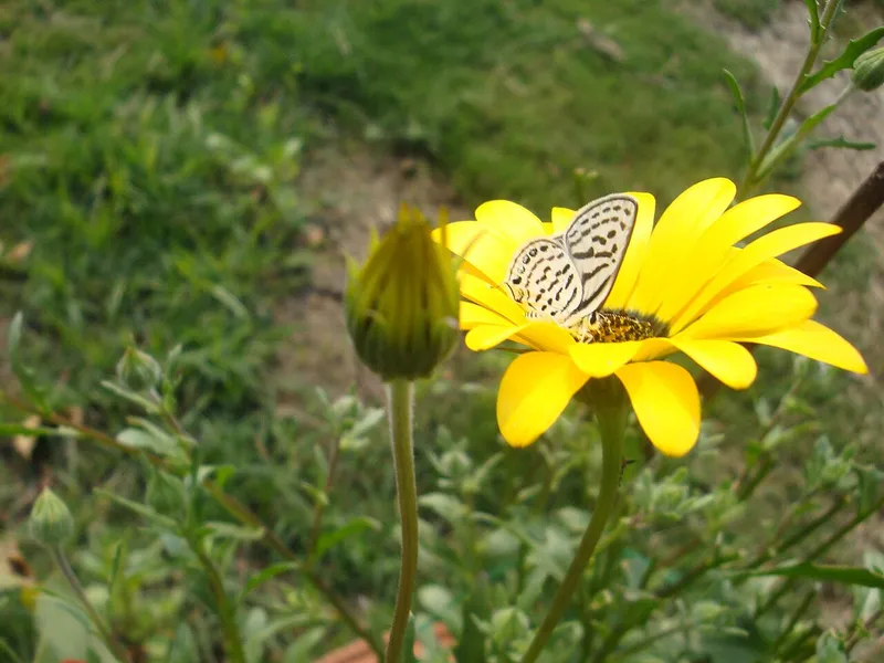 Yamuna Biodiversity Park, East Delhi