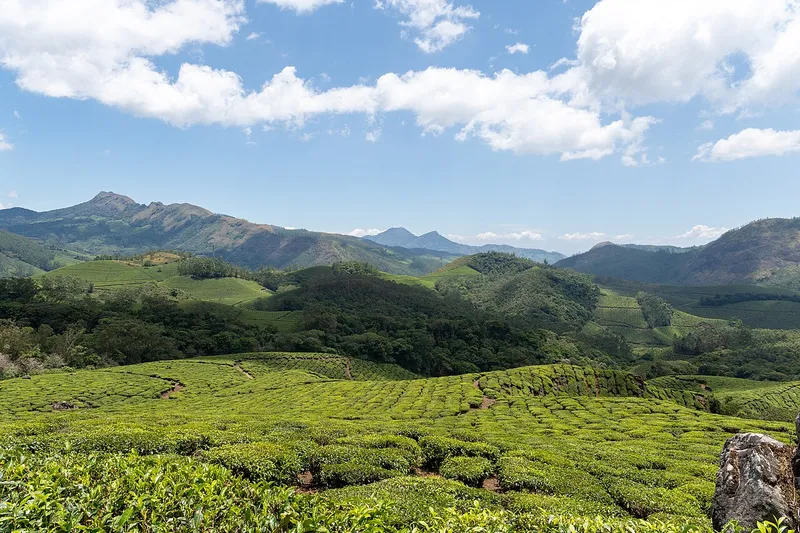 Eravikulam National Park, Idukki