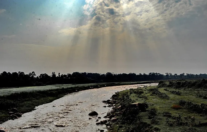 Neora Tea Estate, Jalpaiguri