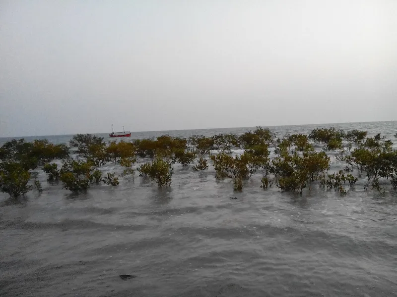 Pirotan Marine National Park, Jamnagar