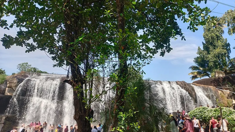 Thirparappu Waterfalls, Kanyakumari