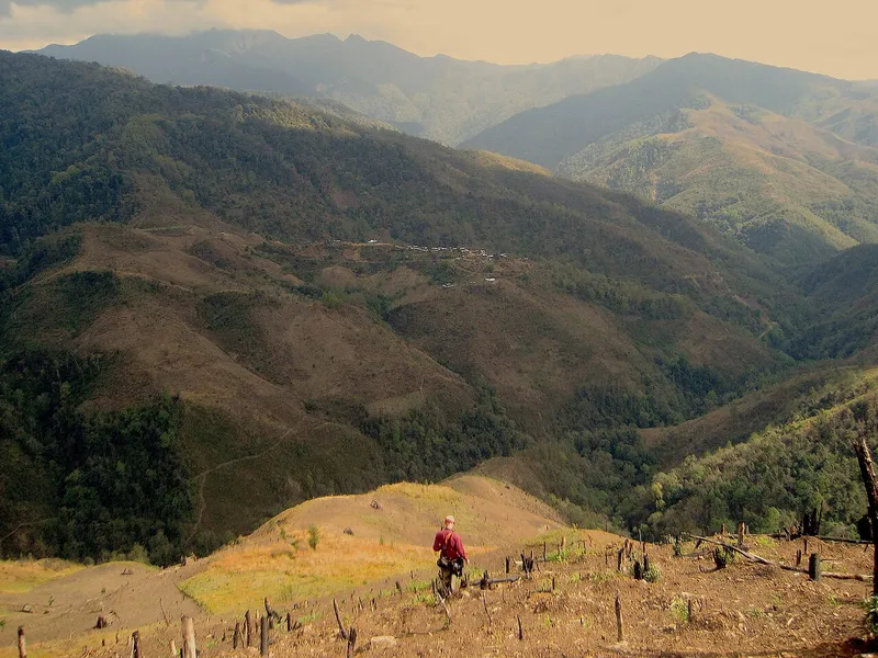 Jhum Cultivation Landscape, Kiphire
