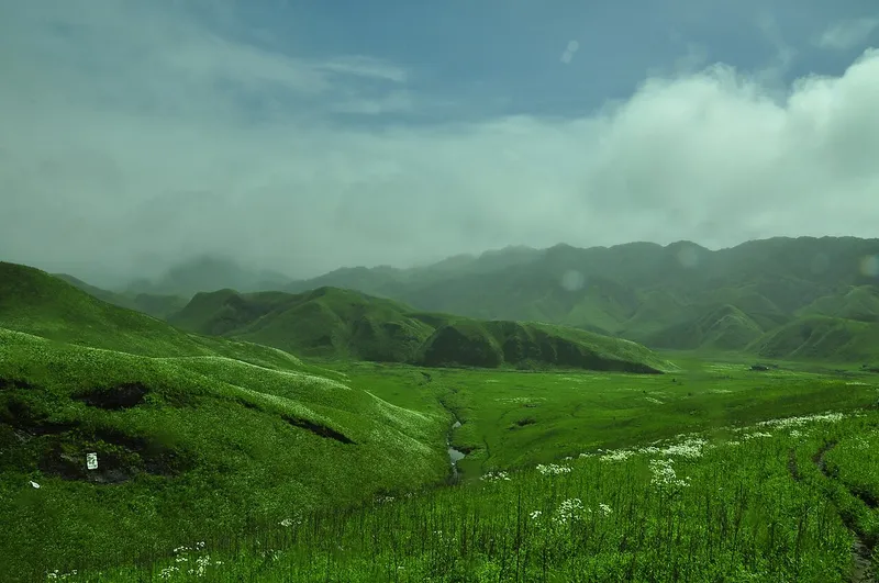 Dzüko Valley, Kohima