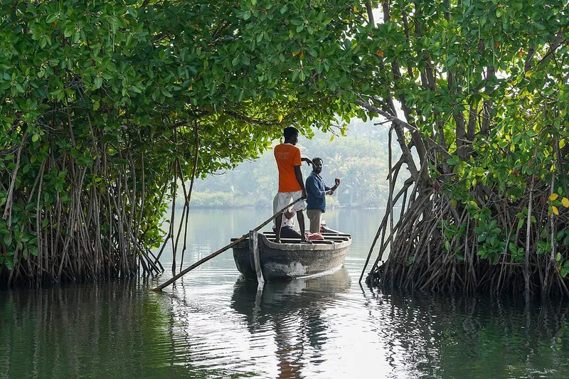 Ashtamudi Lake, Kollam