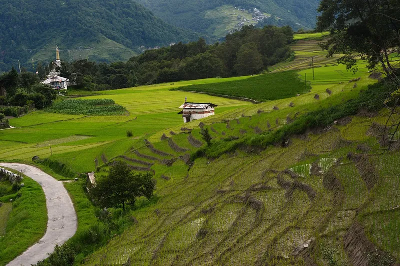 Ziro Valley, Lower Subansiri