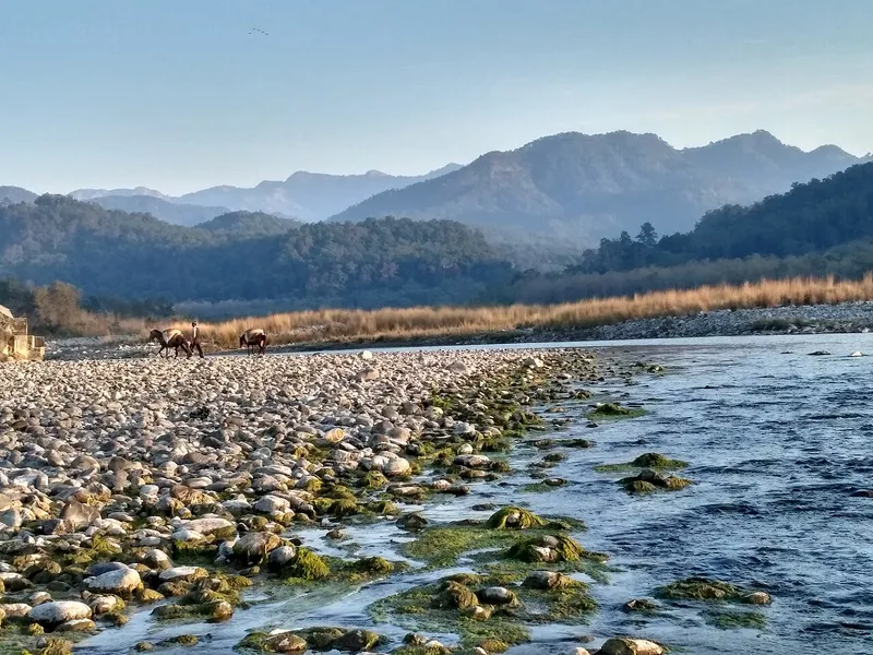 Kosi River, Madhepura