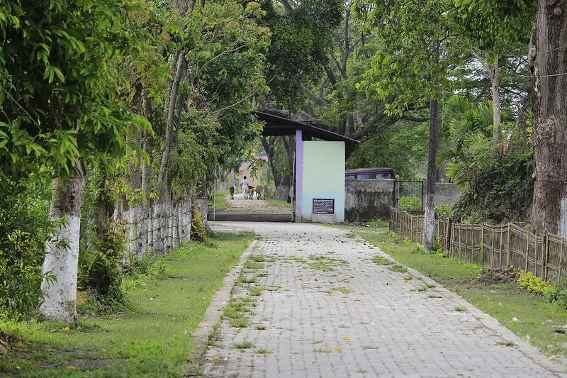 Dakhinpat Satra, Majuli
