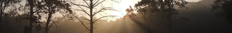 Simlipal National Park, Mayurbhanj