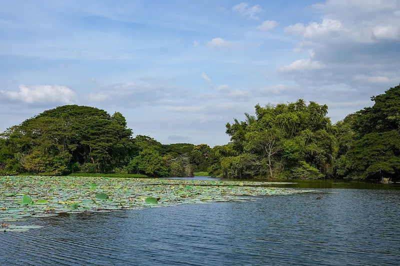 Karanji Lake, Mysuru