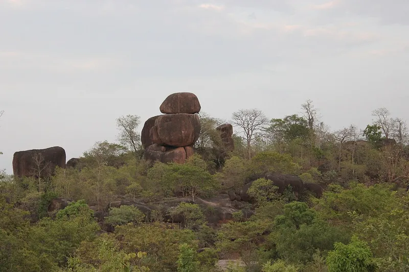 Pocharam Wildlife Sanctuary, Nirmal