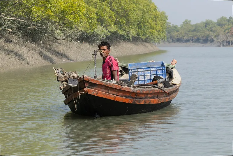 Sundarbans National Park, North 24 Parganas