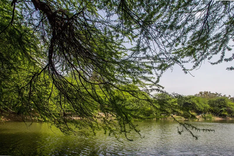 Sanjay Lake, North East Delhi