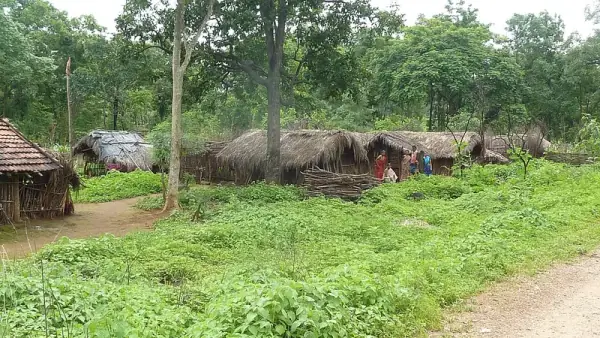 Chinturu, Polavaram