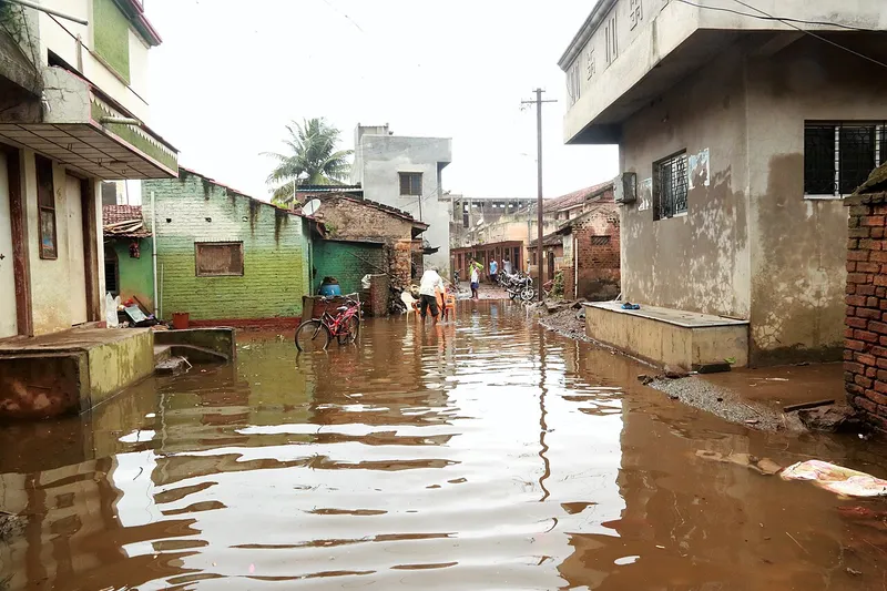 Road in village Herwad, dist. Sangli, Sangli