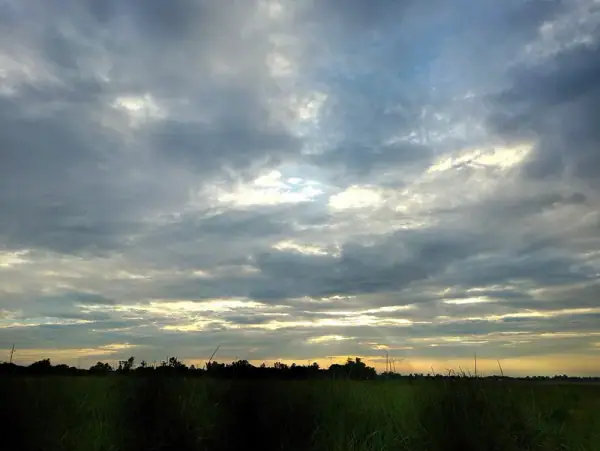 Nature landscape of Bakhira Jheel wetland ecosystem, Sant Kabir Nagar