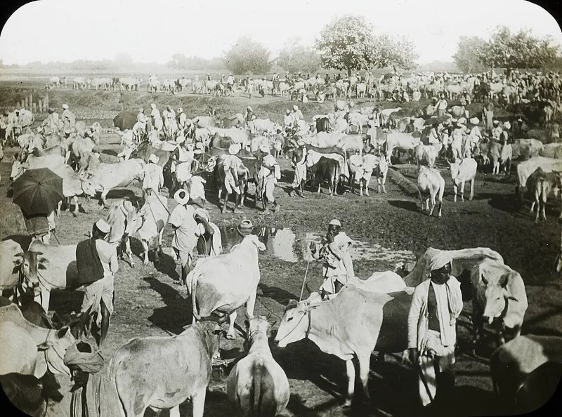 Sonpur Mela, Saran