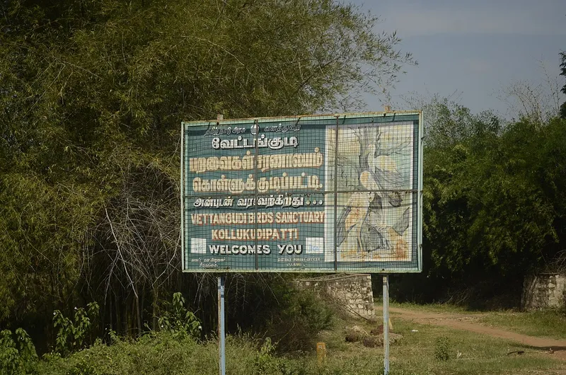 Vettangudi Bird Sanctuary, Sivaganga