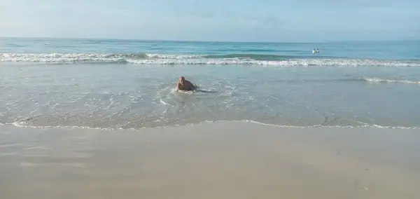 Radhanagar Beach, South Andaman