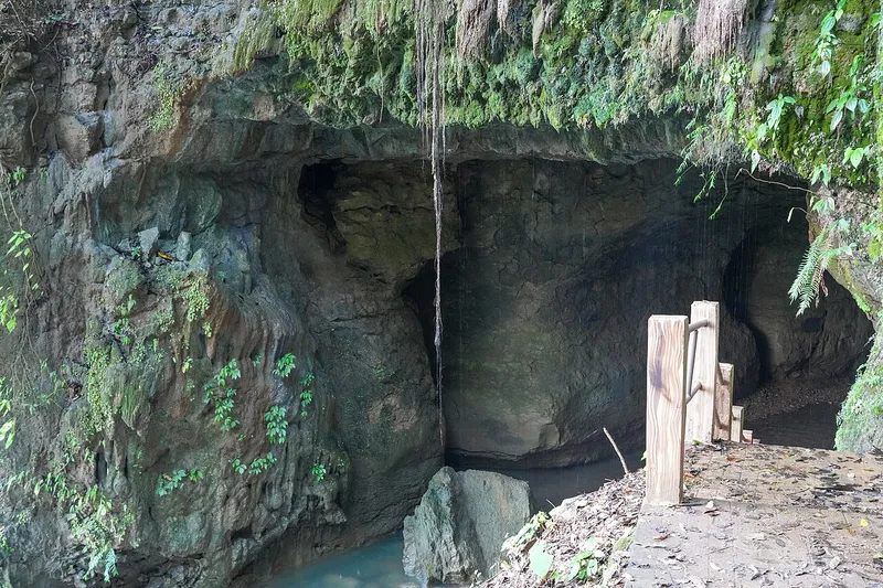 Siju Cave, South West Garo Hills