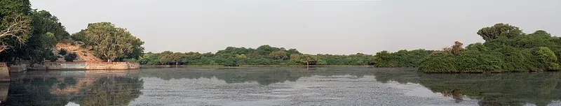 Gajner Wildlife Sanctuary, Sri Ganganagar