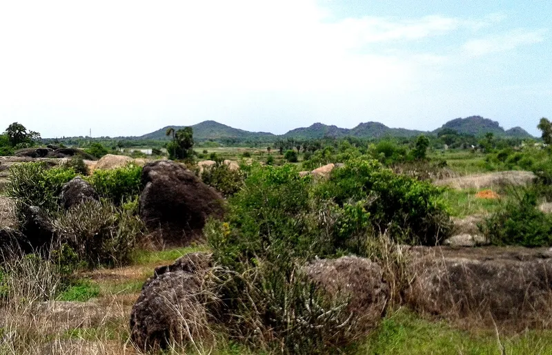 Dannanapeta Megalithic Site, Srikakulam