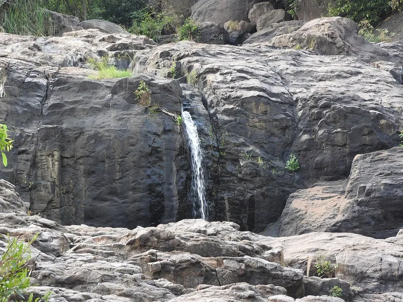 Agasthiyar Falls, Tenkasi