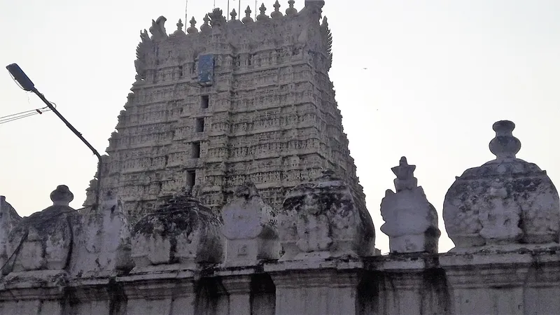 Sankaranarayanar Temple, Tenkasi