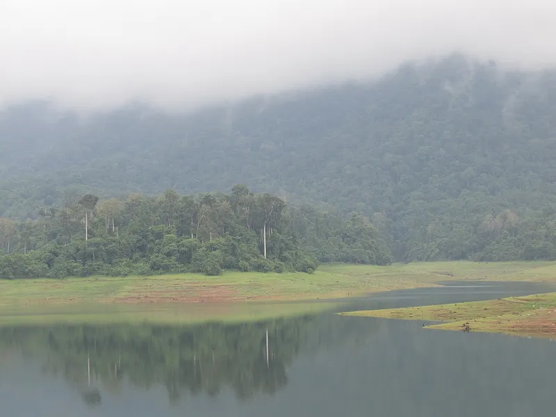 Chimmini Wildlife Sanctuary, Thrissur
