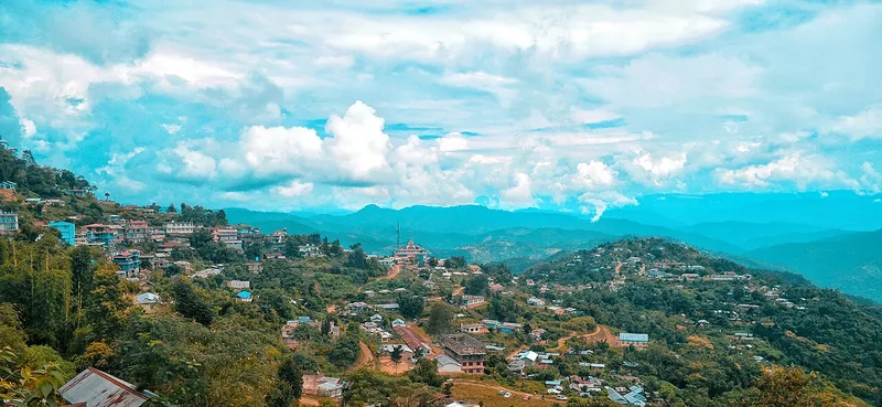 Sendenyu Community Biodiversity Reserve, Tseminyü