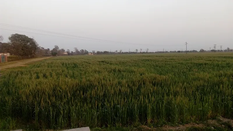 Crops Research Center, Pantnagar, Udham Singh Nagar