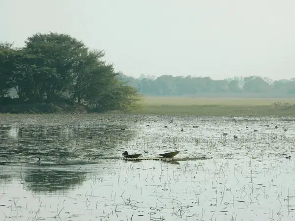 Lake at Nawabganj Bird Sanctuary, Unnao, Unnao