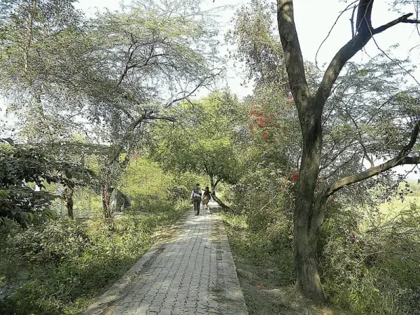 Nawabganj Bird Sanctuary wide view with wetland habitat, Unnao