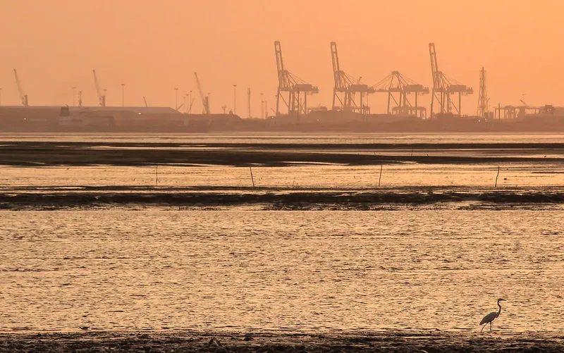 Dumas Beach, Valsad