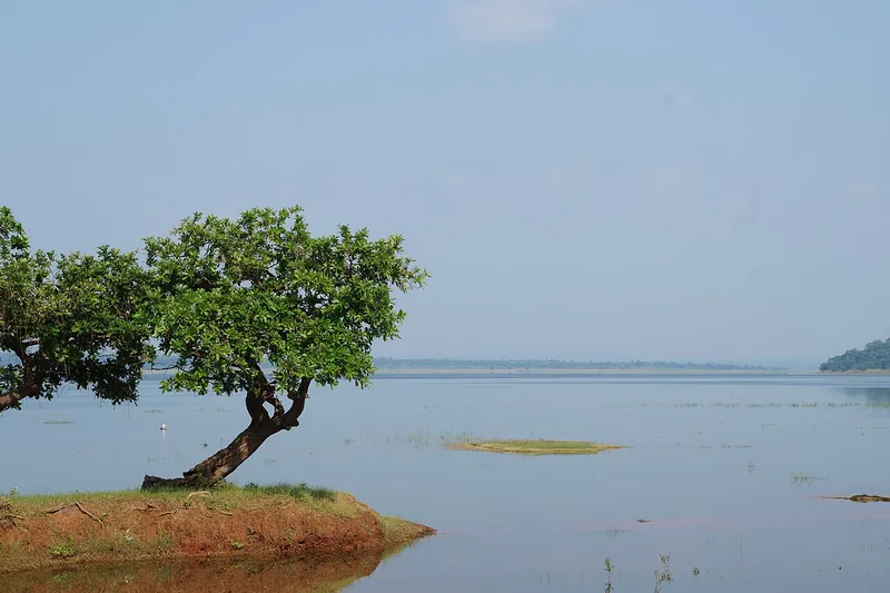 Pakhal Lake, Warangal