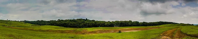 Mawphlang Sacred Grove, West Khasi Hills