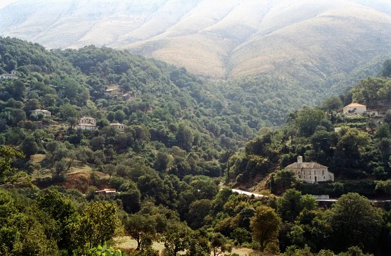 Saranda Forest, West Singhbhum