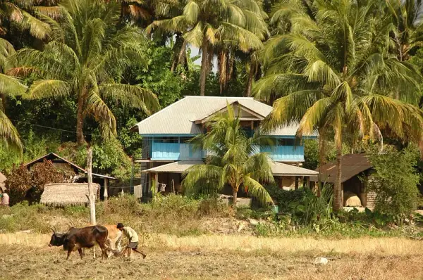 Havelock Island interior, Havelock
