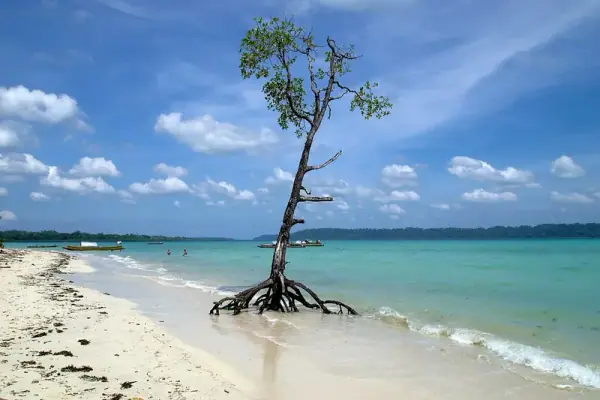 Havelock Island, Havelock