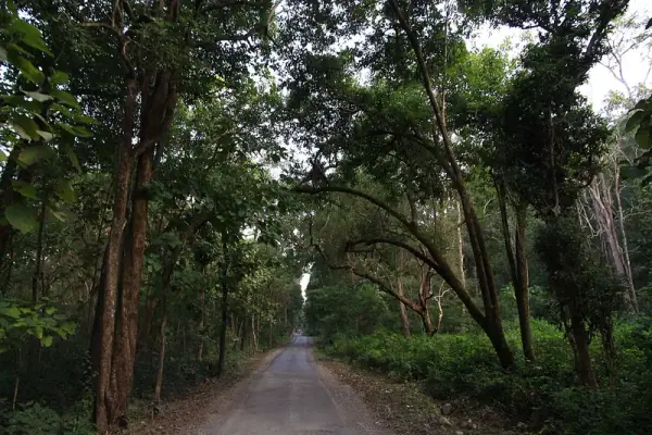 Jim Corbett National Park interior, Ramnagar