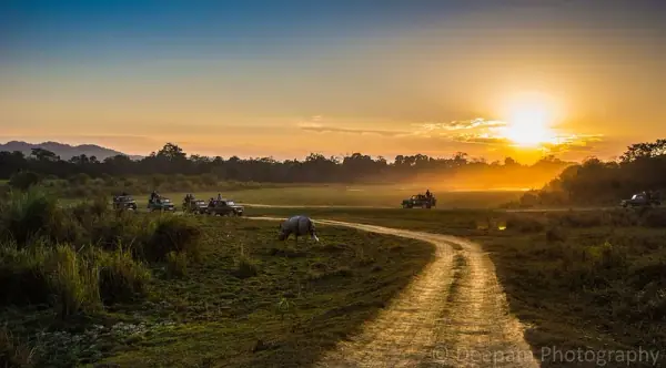 Kaziranga National Park sunset, Kaziranga